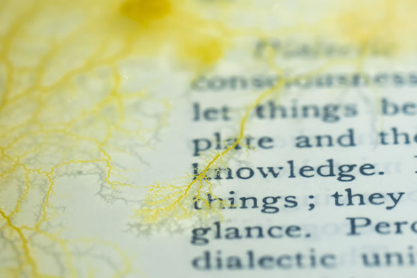 Culturas Degenerativas