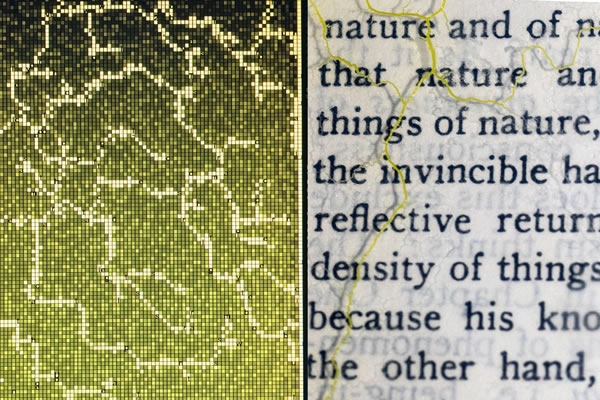 Culturas Degenerativas