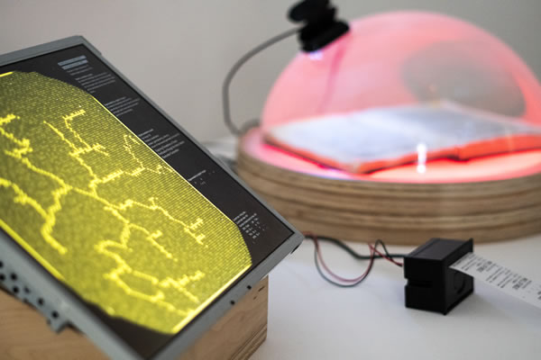 Culturas Degenerativas